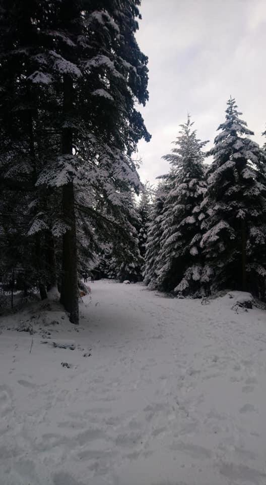 Auberge De Thelis Екстер'єр фото